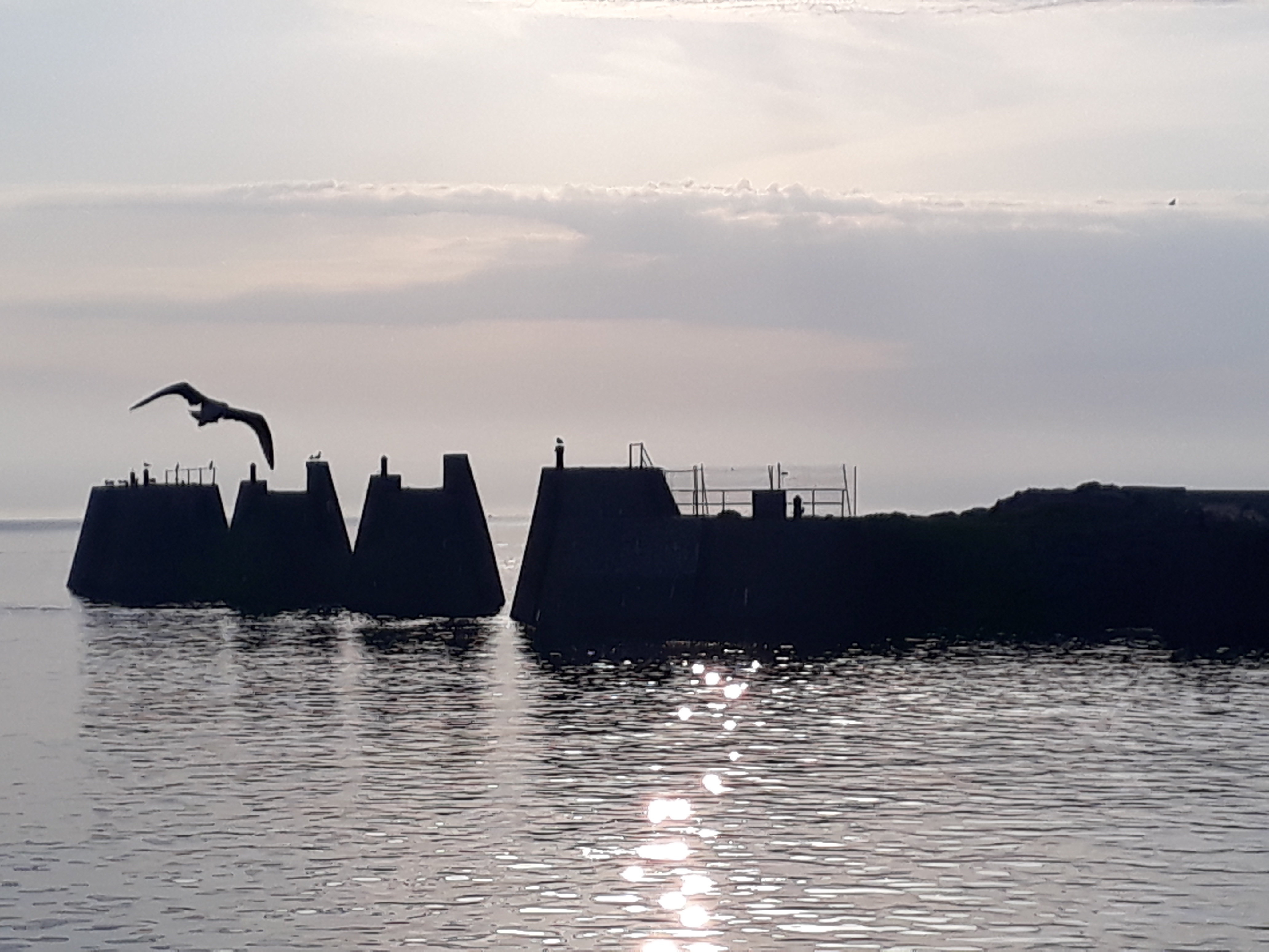 halloween-2016_med_hr